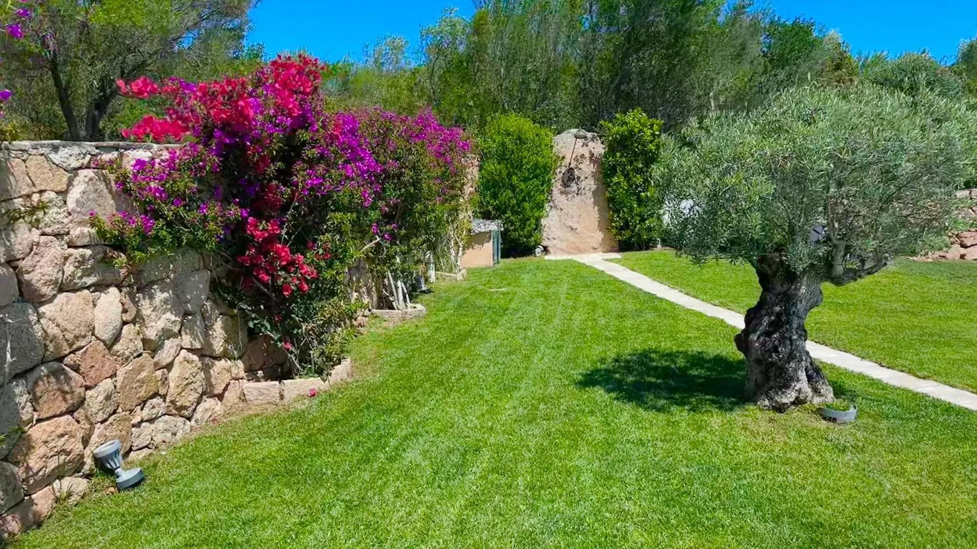Villa Ibiscus Cannigione Italia